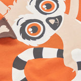 Conjunto Mini Lemúr Aventura Boboli