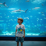Conjunto Cool Shark Boboli