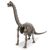 Excava Tu Braquiosaurio