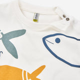 Conjunto River Fish Losan